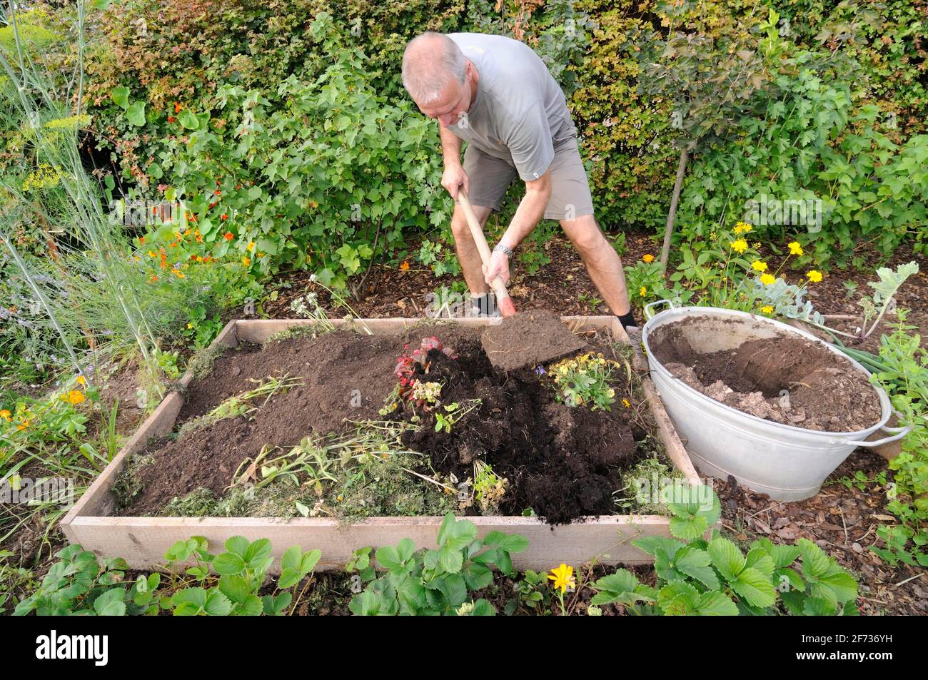When To Add Compost To Raised Beds