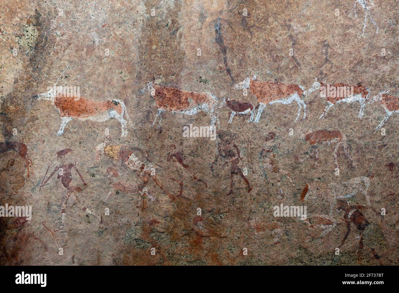 Archaeological rock drawing White Lady, Brandberg, Erongo, Namibia ...