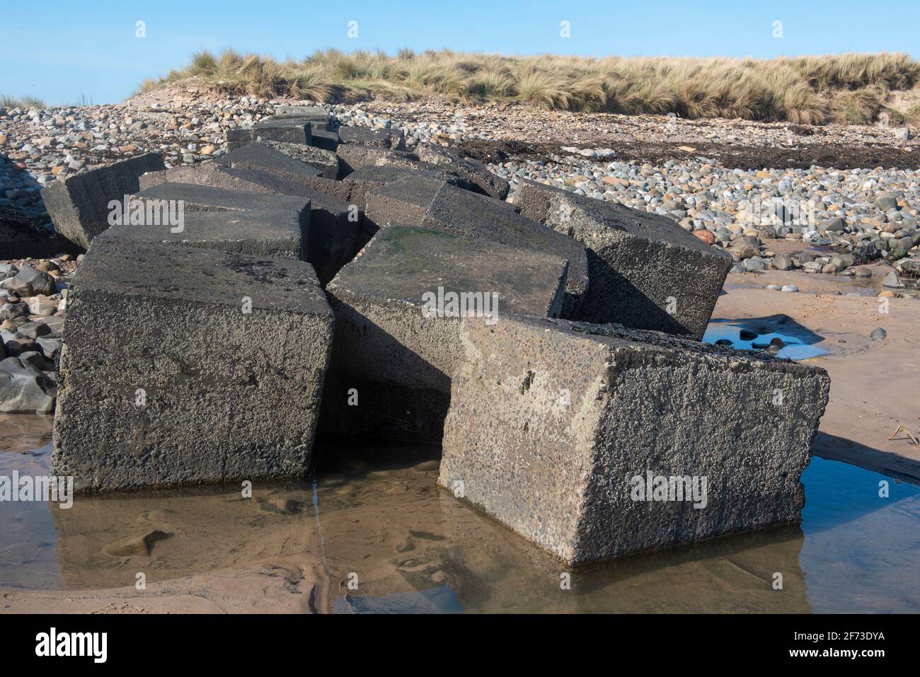 Tank traps on Northumberland Beach Stock Photo Alamy