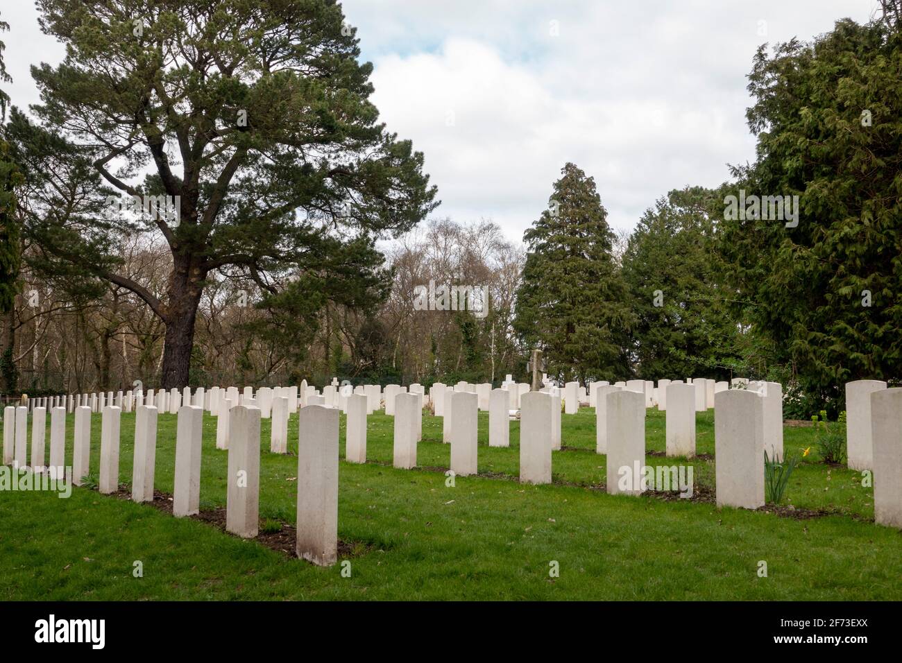 Netley Military Cemetery is a permanent military cemetery. It contain the remains of fallen servicemen from both World Wars Stock Photo