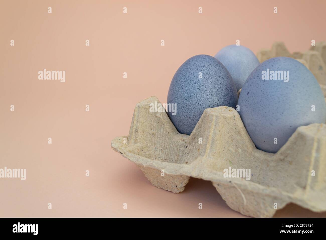 The eggs in a cardboard box are painted with natural dye: red cabbage. Easter Stock Photo