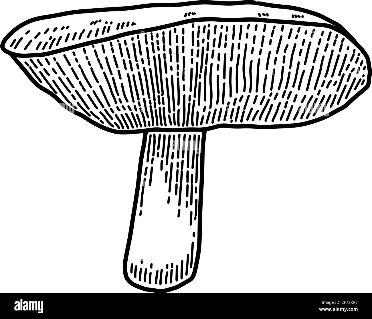 Illustration of mushroom in engraving style. Design element for poster, card, banner, sign. Vector illustration Stock Vector