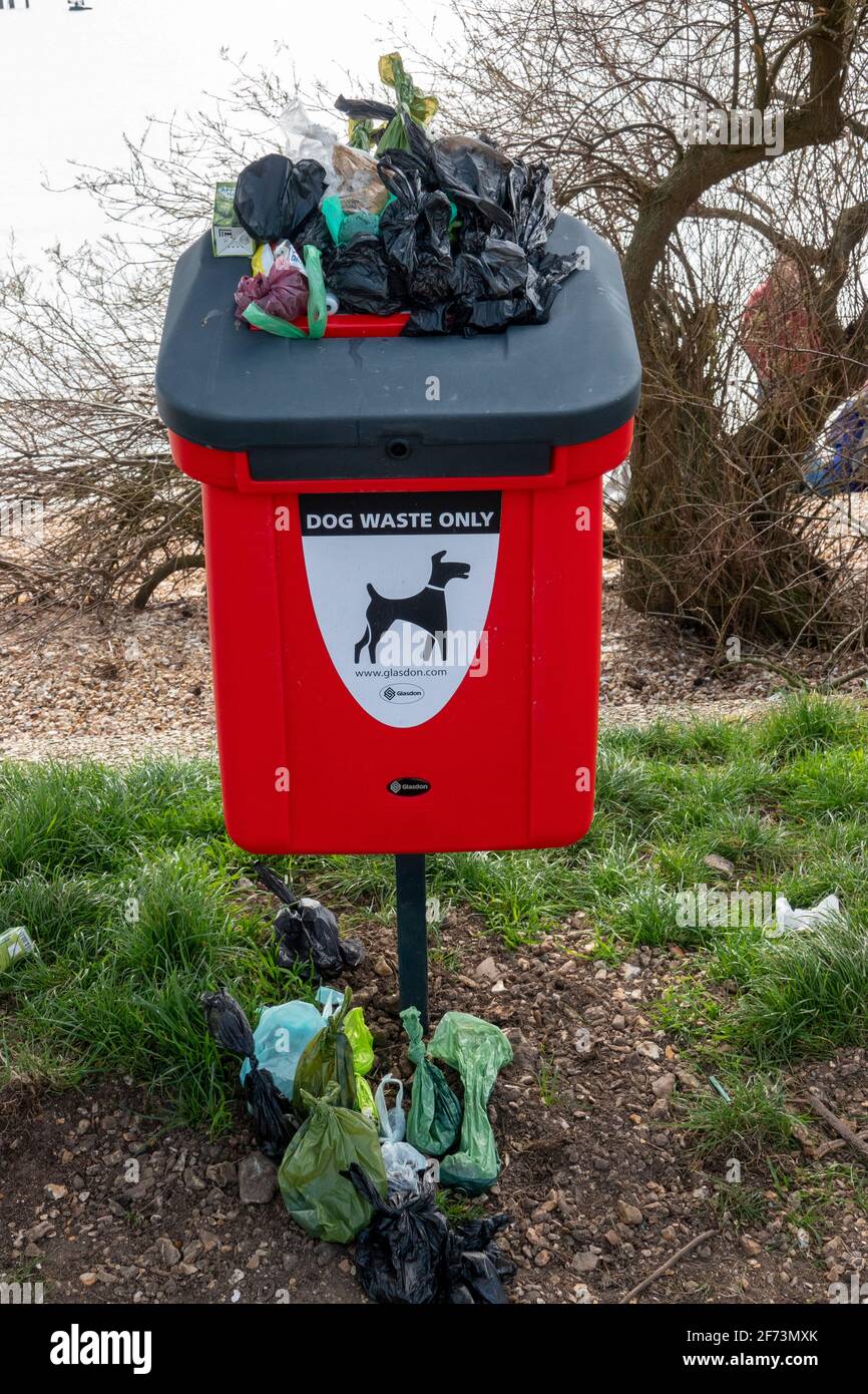 Can You Put Dog Poop In A Public Bin