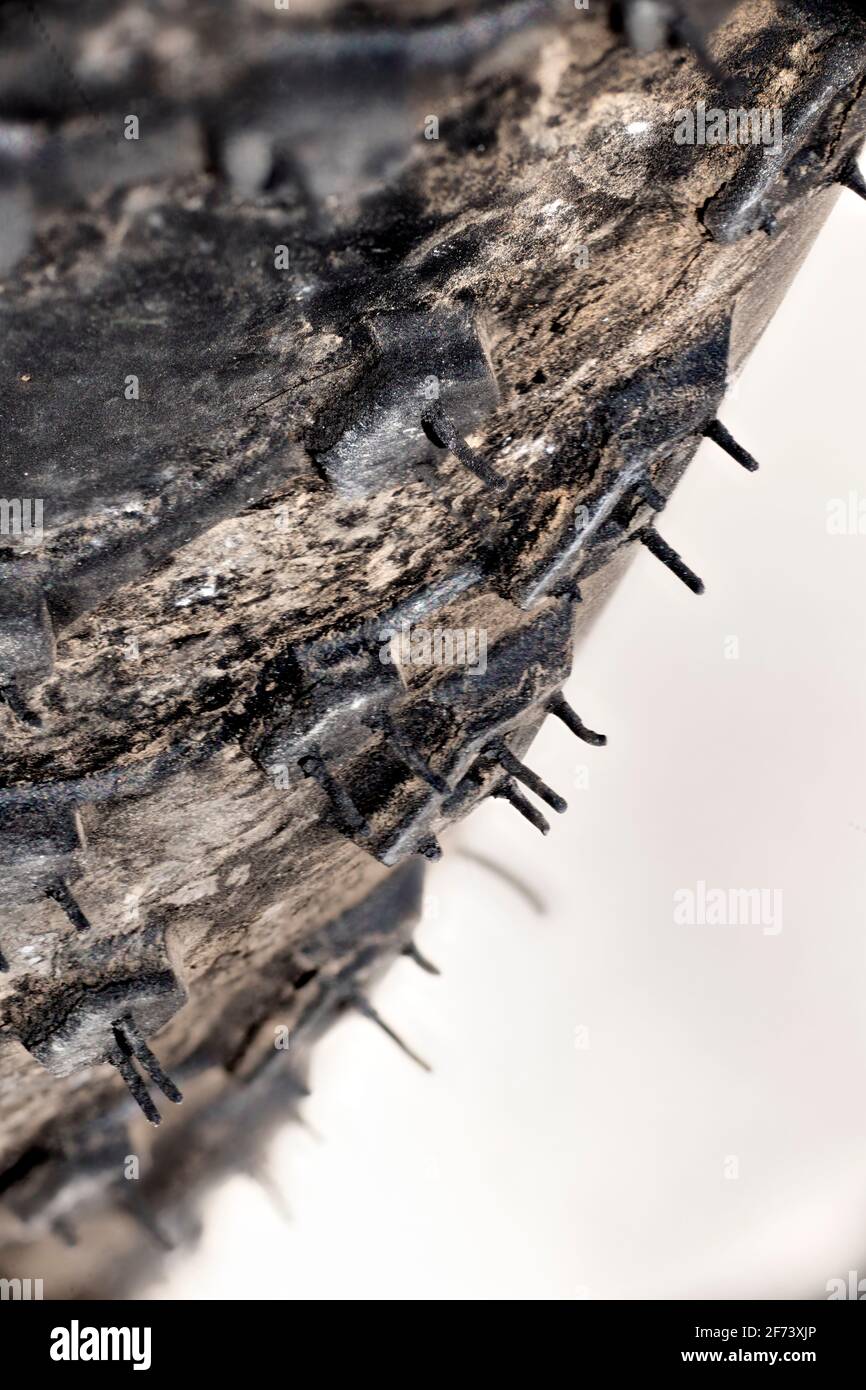 Nipples hires stock photography and images Alamy