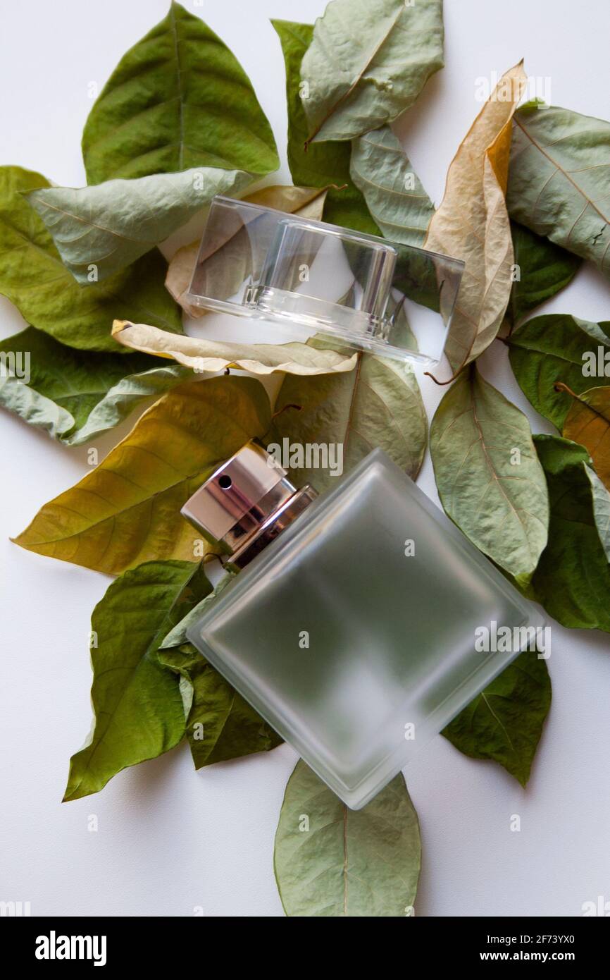 Rectangular glass perfume bottle on dry green and yellow leaves Stock Photo