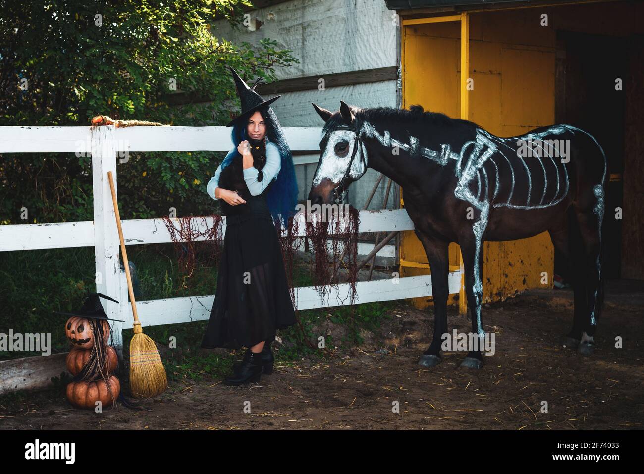 Russian blue cat halloween costume hires stock photography and images