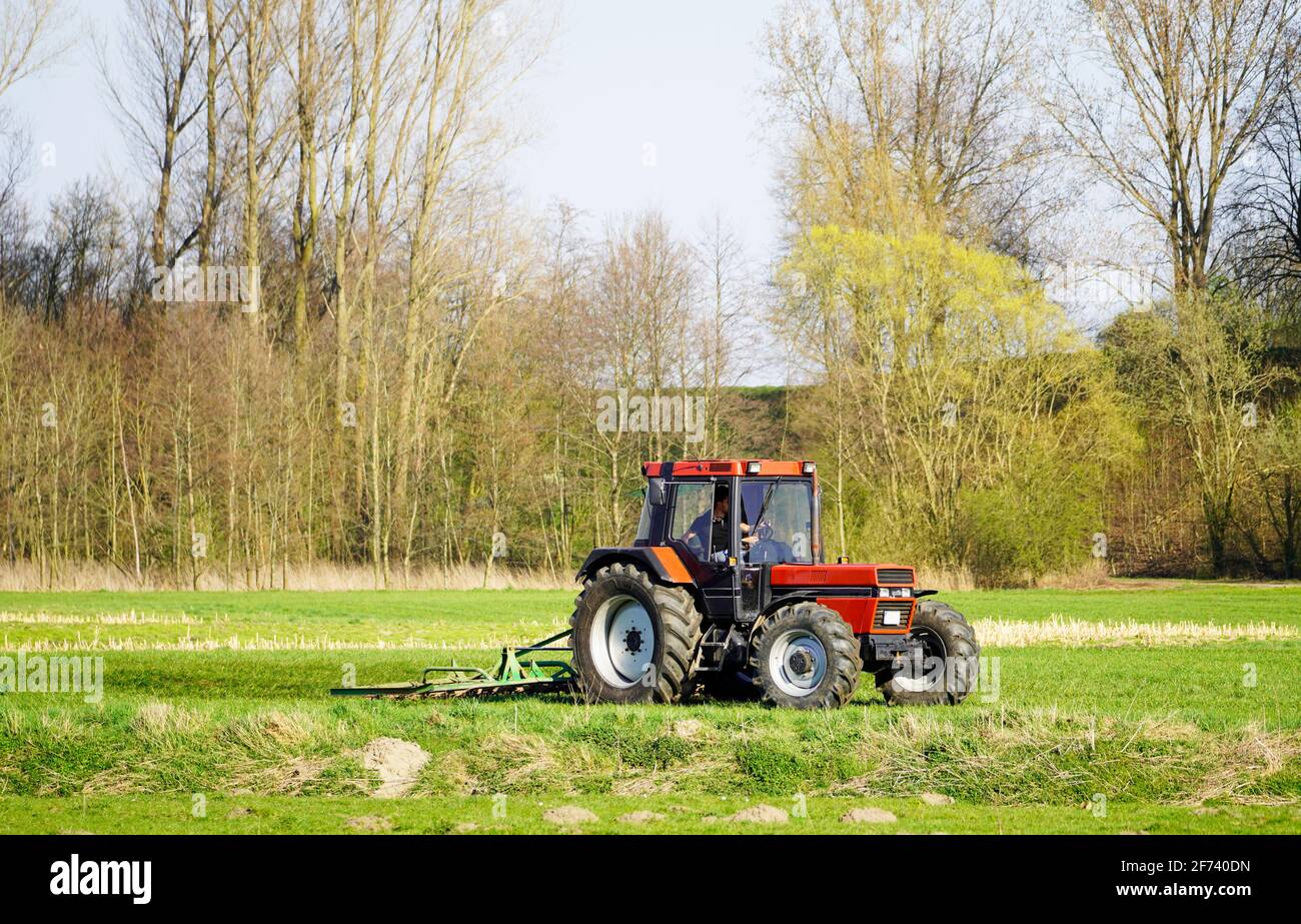 Tractor paves the meadow in spring in preparation for grazing animals. Rural surroundings with fields and meadows. Stock Photo