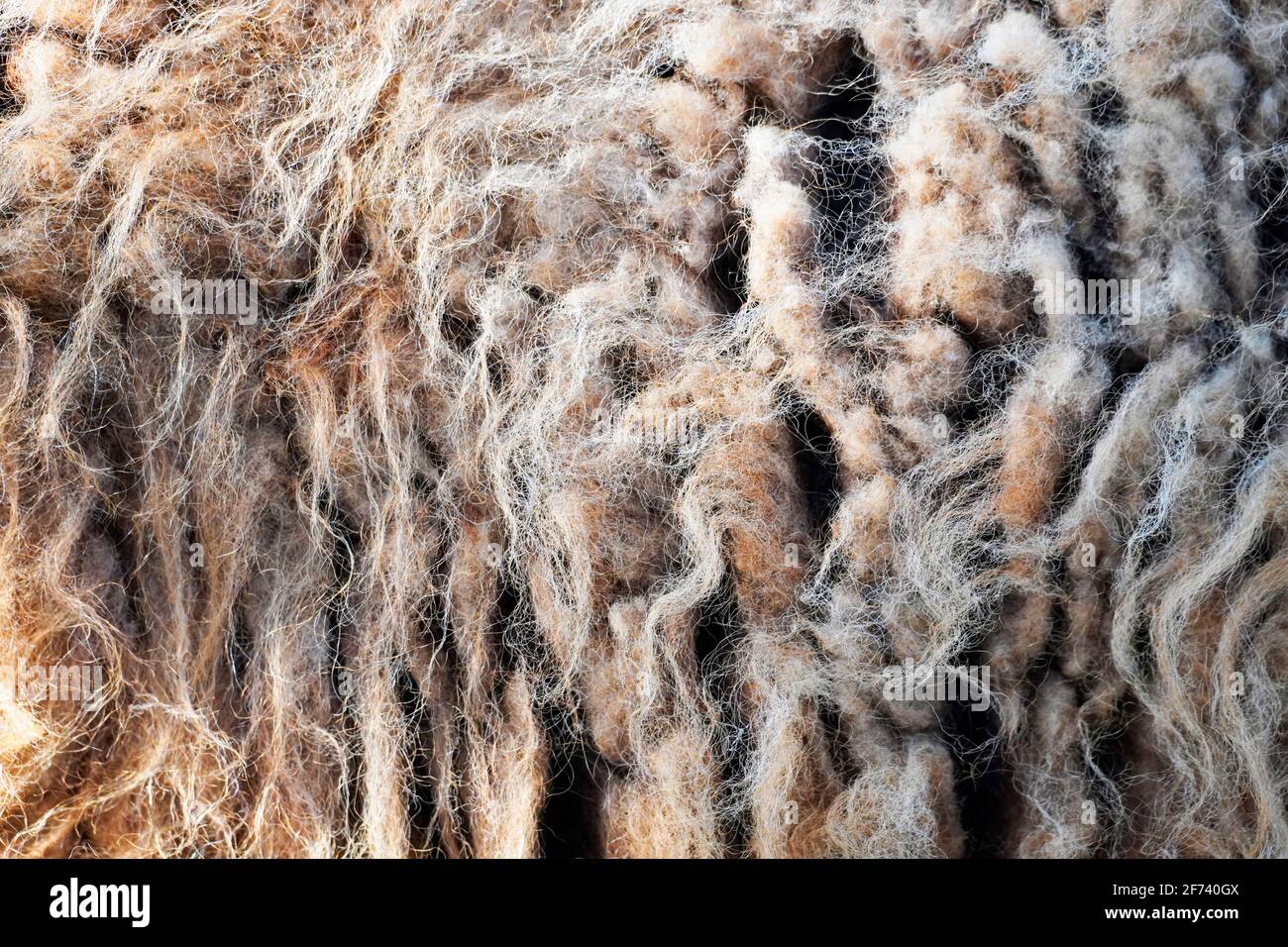 Matted brown sheepskin close up. Animal fur as a background motif. Stock Photo