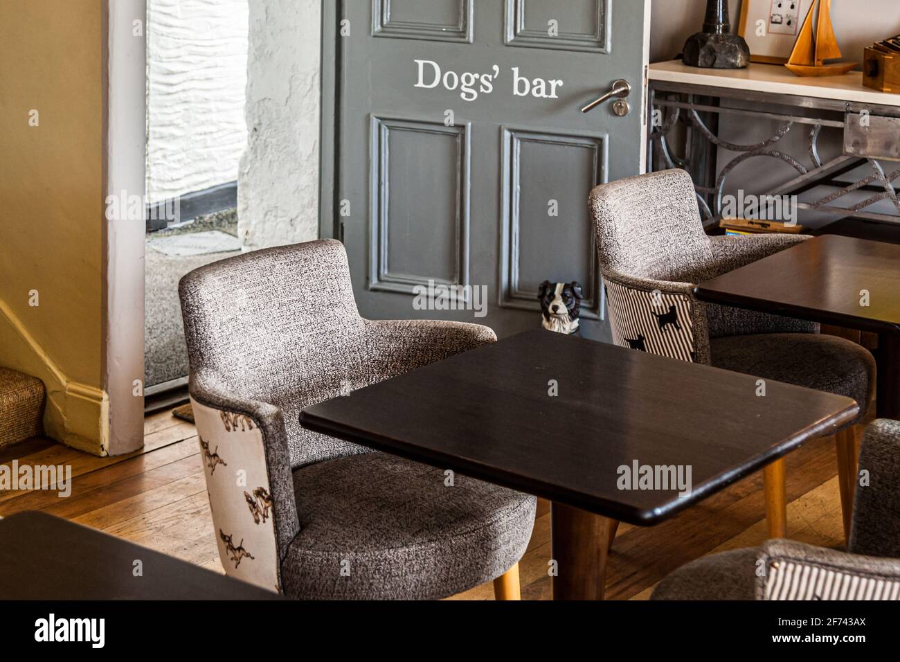 If dog and owner are inseparable, then the Dogs-Bar,, where food from the restaurant is served on request,, is the right place Stock Photo