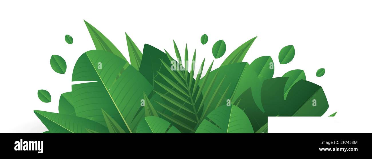Summer tropical leaf frame Stock Vector Image & Art - Alamy