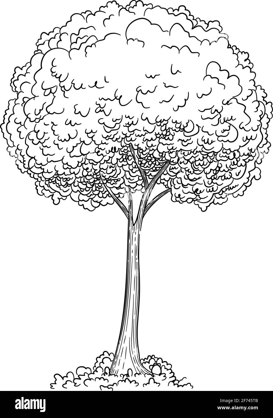 Young tree icon, hand drawn and outline style Stock Vector Image & Art ...