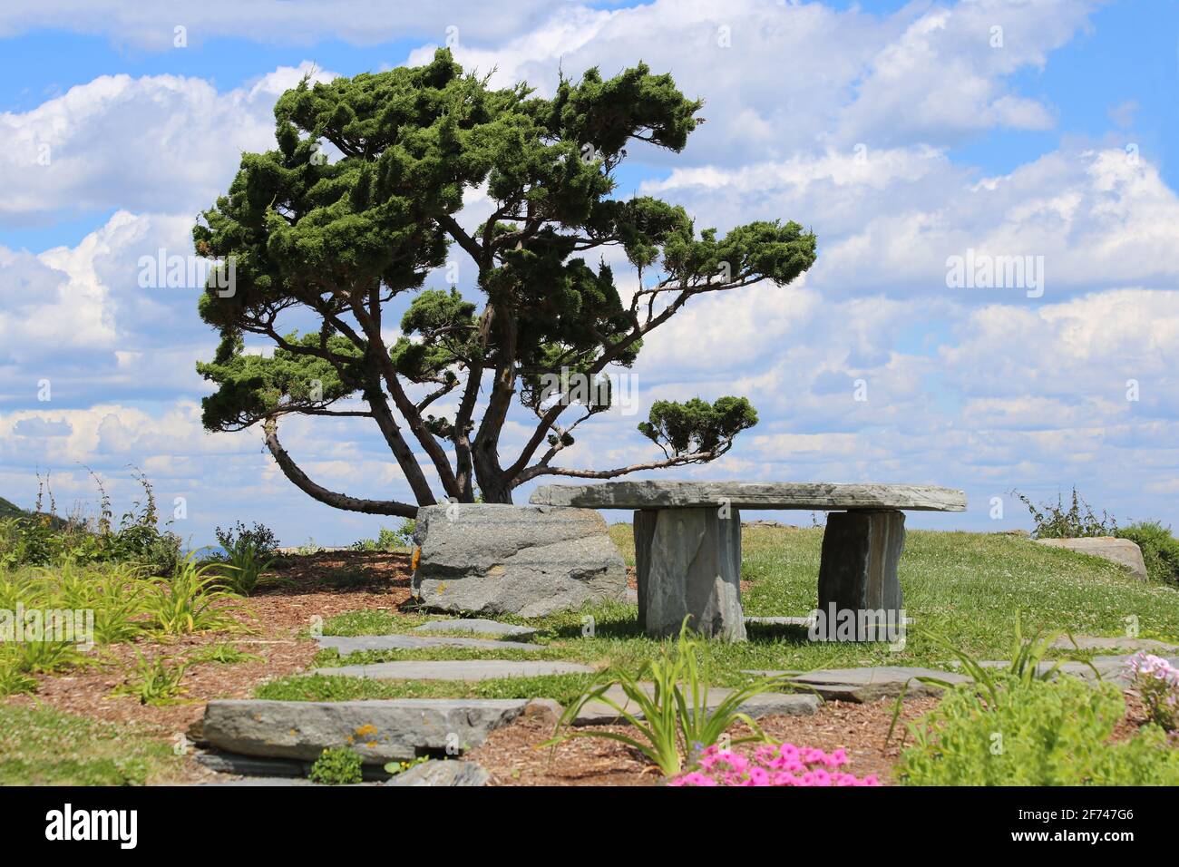 Isolated quiet small park with stone bench, flowers, pine bonsai tree and open blue sky with puffy white cumulus clouds for relaxing and reflection Stock Photo