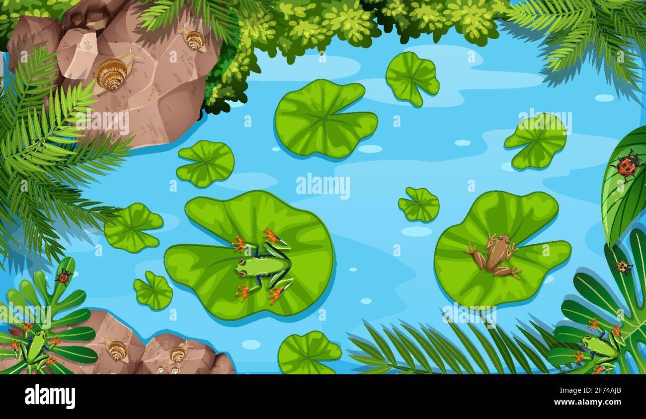 Aerial scene with frogs and lotus leaves in the pond illustration Stock ...