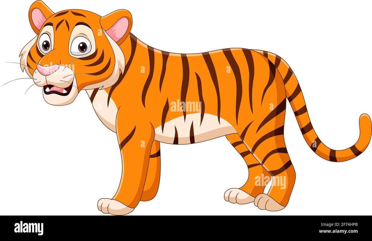 Cartoon tiger on white background Stock Vector Image & Art - Alamy