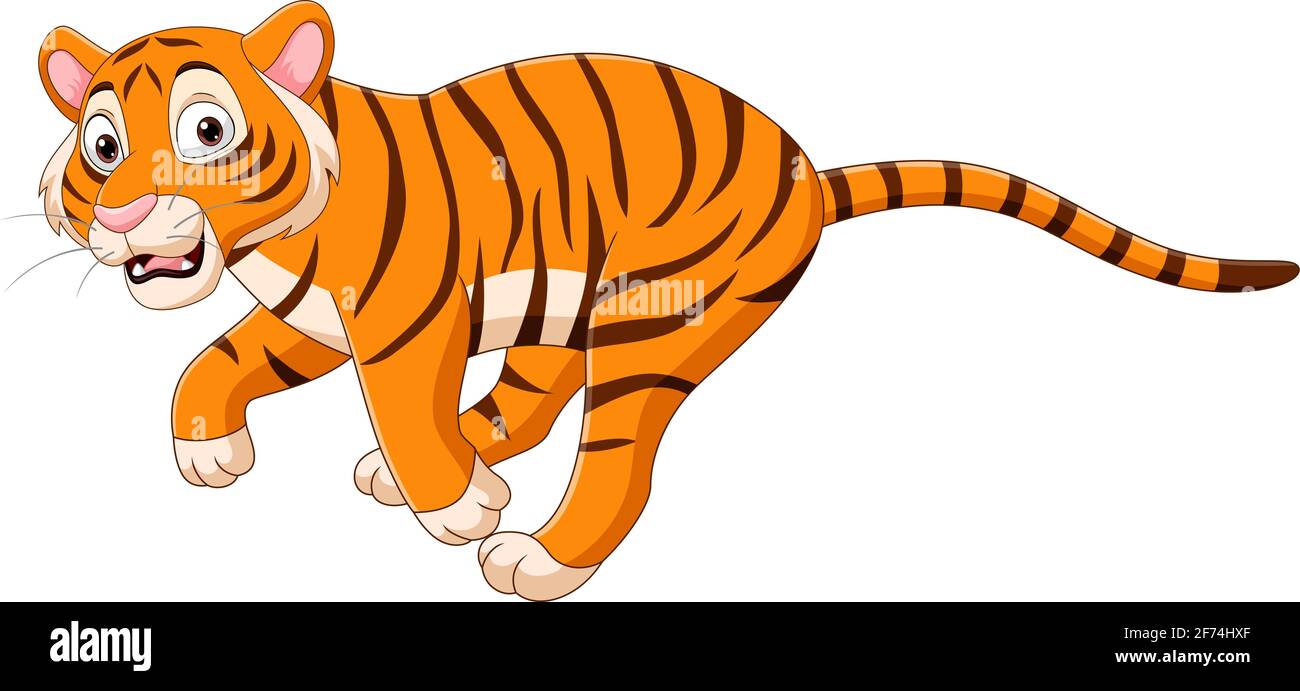 Cartoon funny tiger running on white background Stock Vector Image ...
