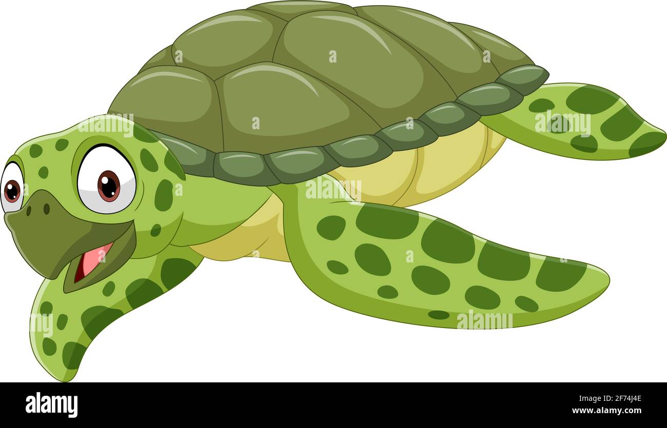 Cartoon sea turtle on white background Stock Vector Image & Art - Alamy