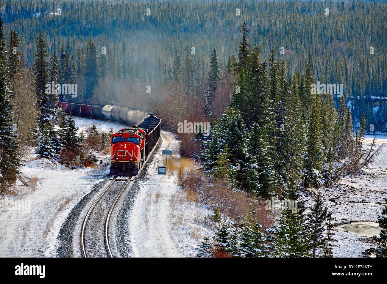 A Canadian National freight train travels around a corner in a wooded area of the rocky mountains of Alberta Canada. Stock Photo