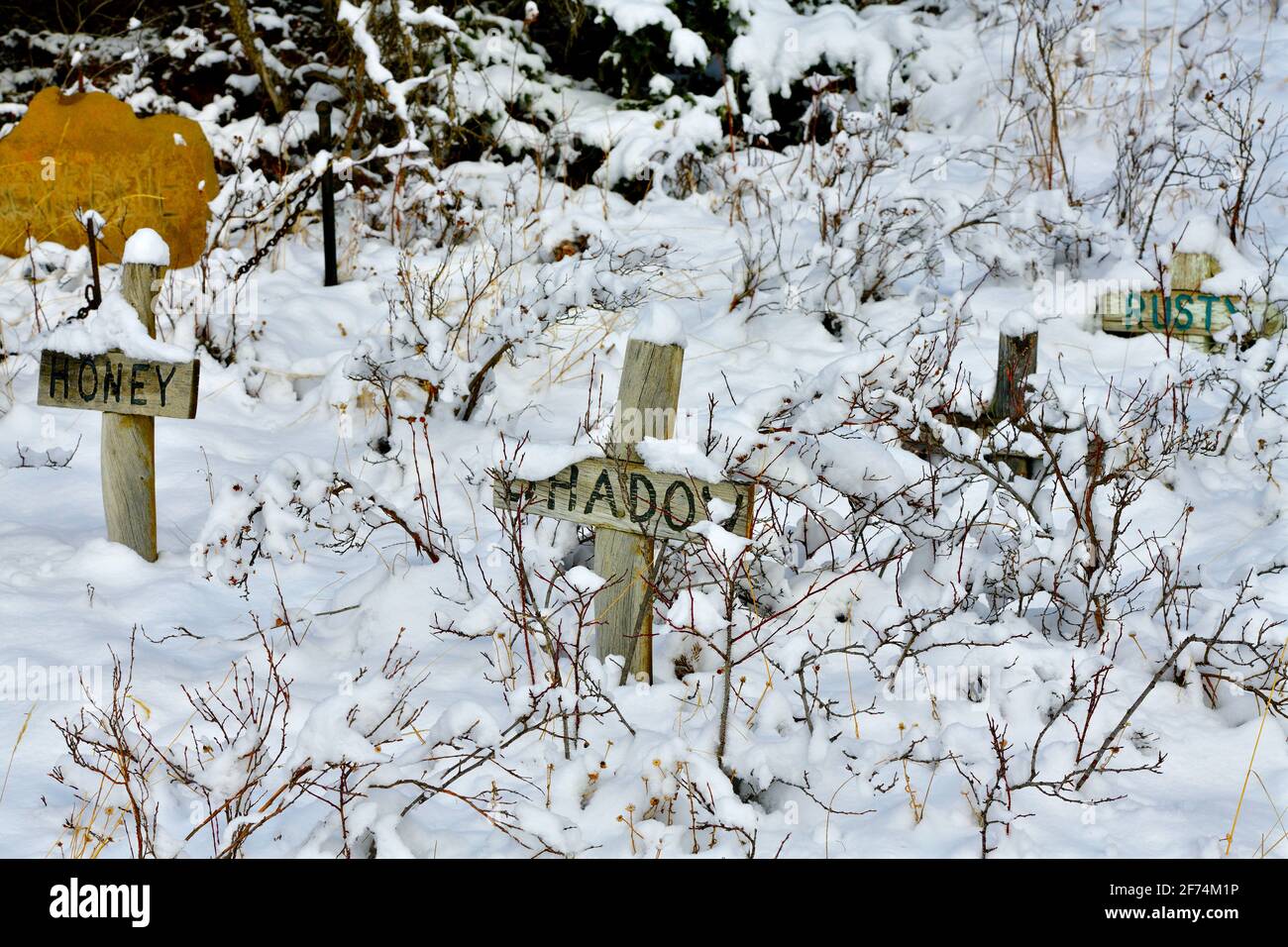 A winter image of a pet cemetery with fresh snow covering the ground in rural Alberta Canada Stock Photo