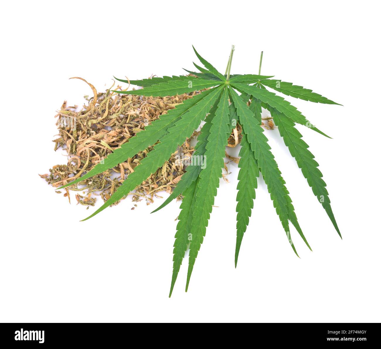 Cannabis leaf, marijuana leaf on white background Stock Photo