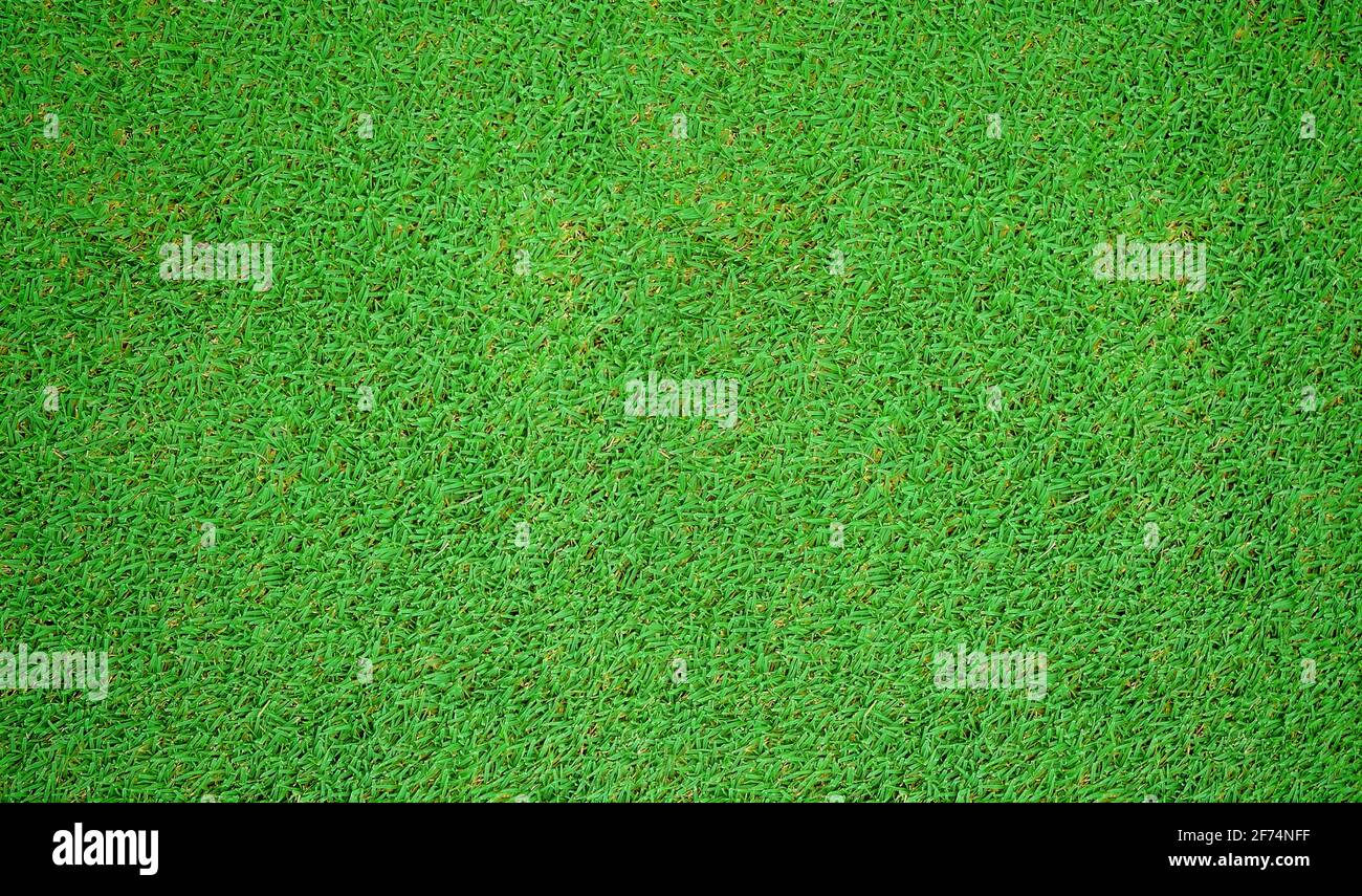 Top view of Green grass field background Stock Photo