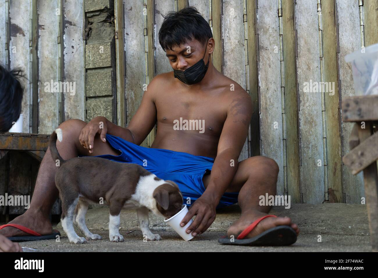 A Filipino man feeding a puppy from a cup on a sidewalk in a poor area of Cebu City, Philippines Stock Photo