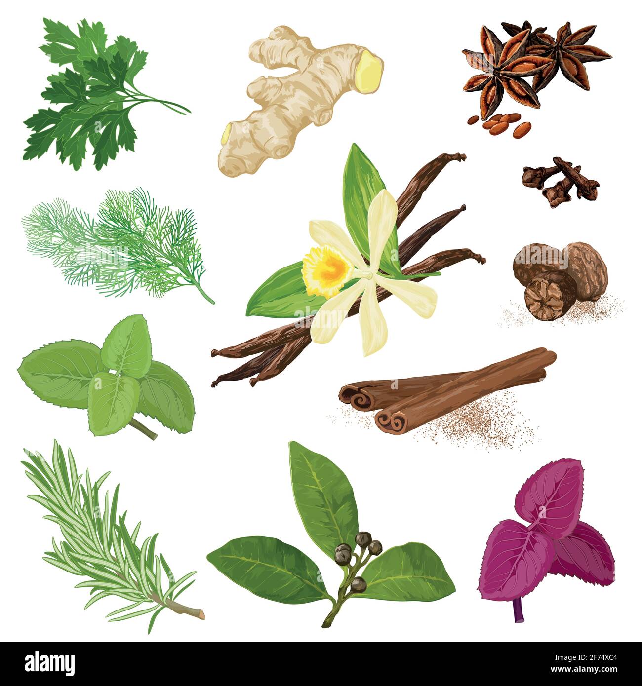 Spices. Vector menu icon set Stock Vector Image & Art - Alamy