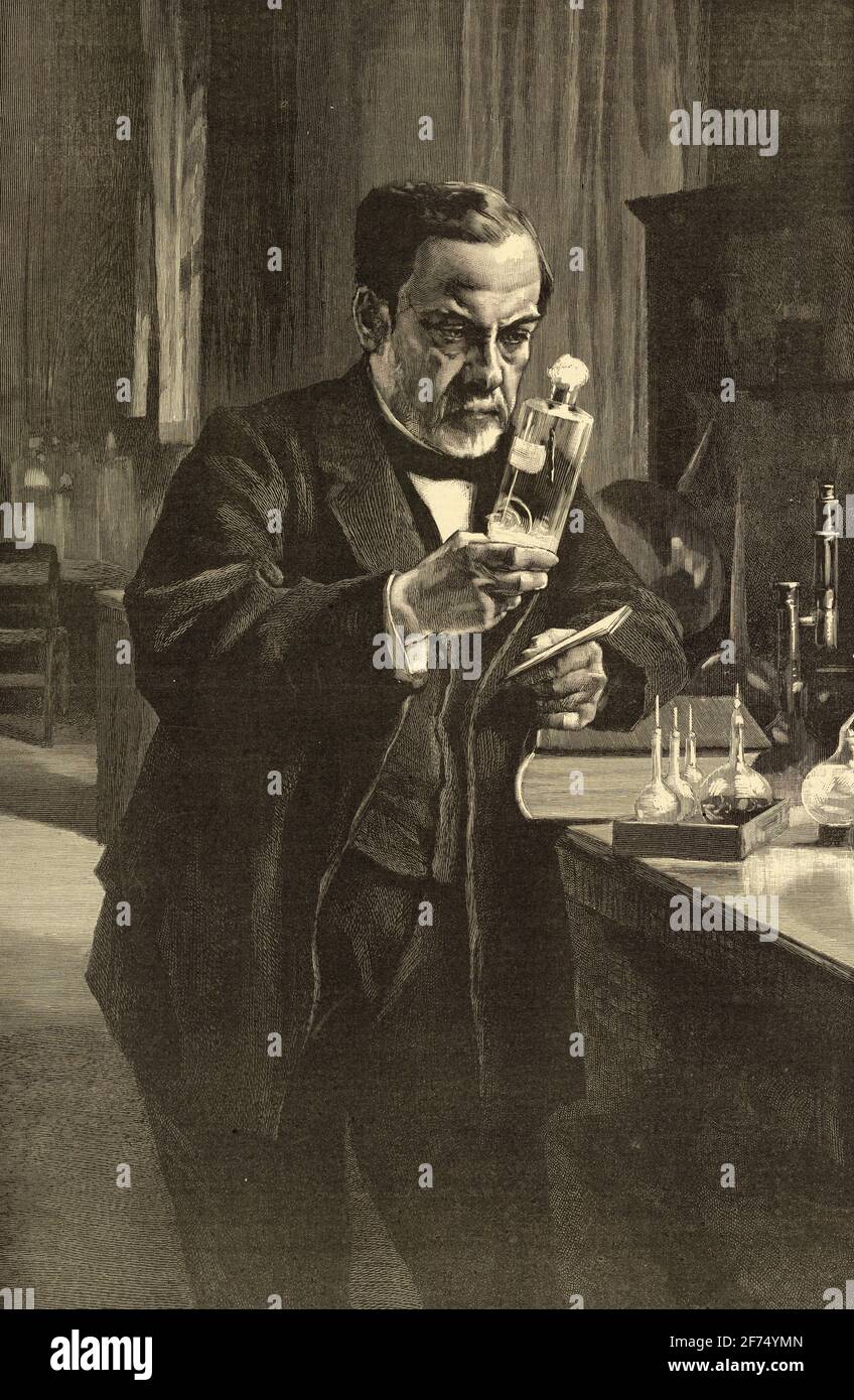 Monsieur Louis Pasteur in his Laboratory 1885 - by Edelfelt Albert - 1854-190 ( reproduction of the best-known portrait of Pasteur by Finnish ) Stock Photo
