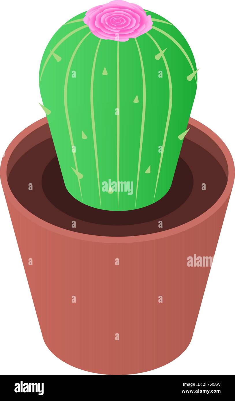 Isolated blooming cactus in a pot on a white background. Flat vector ...