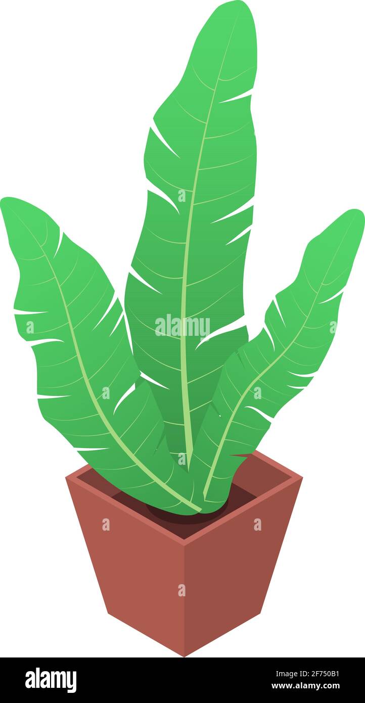 Isolated flower in a pot on a white background. Flat vector isometric ...