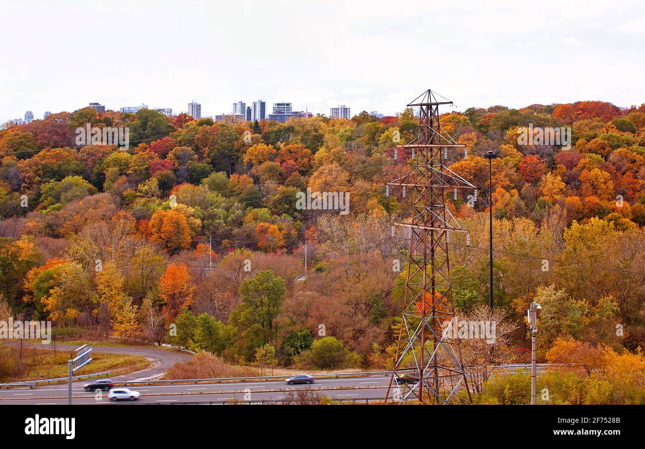 An autumn scene filled with fall foliage under a cloudy sky in Toronto, Ontario, Canada. Stock Photo