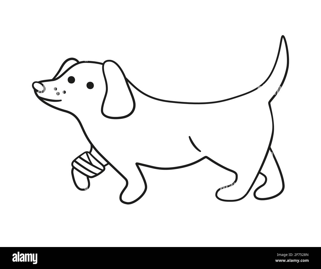 A sick dog with a wounded paw in bandages in doodle style. Hand drawn vector illustration Stock Vector