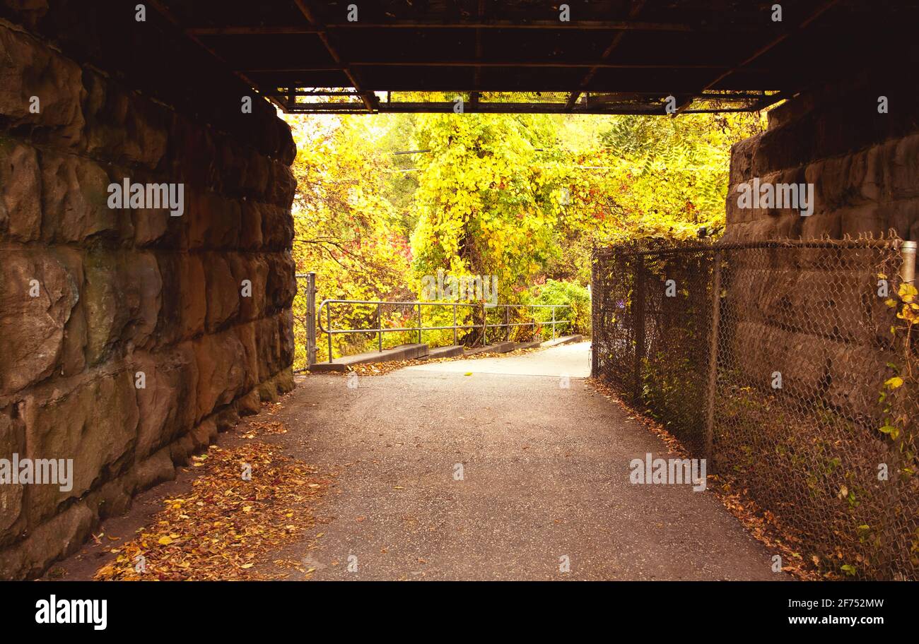 A view of the green trees through a tunnel during autumn in Toronto. Stock Photo
