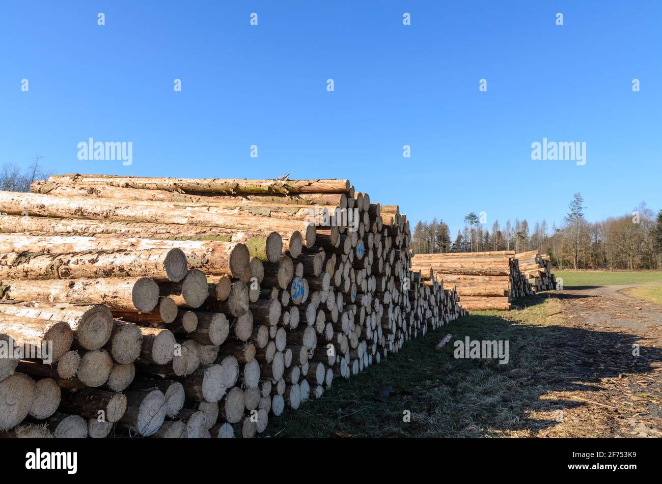 Deforestation site hi-res stock photography and images - Alamy