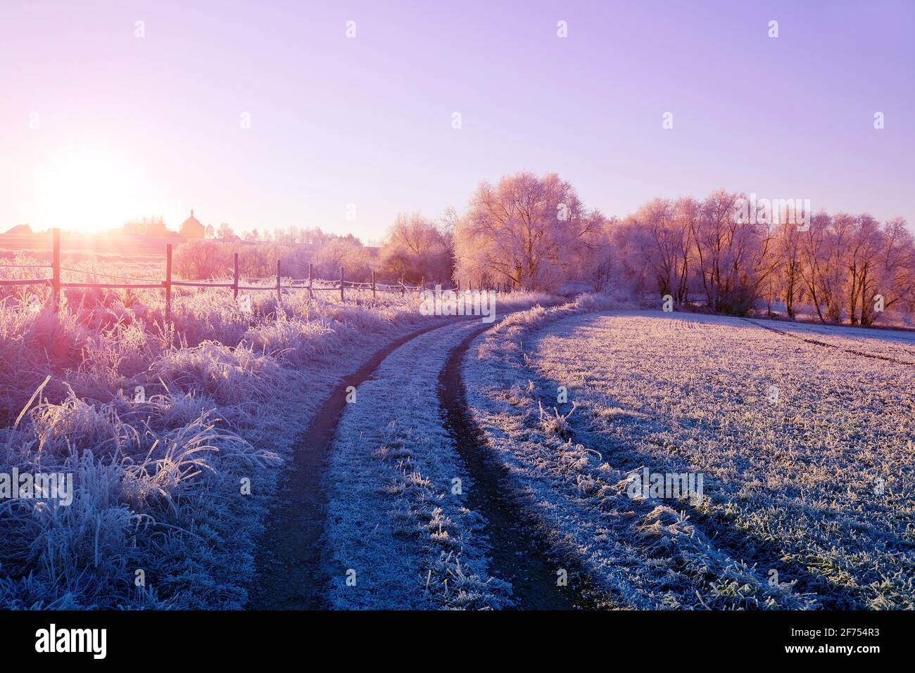Hoarfrost trees winter landscape hi-res stock photography and images ...