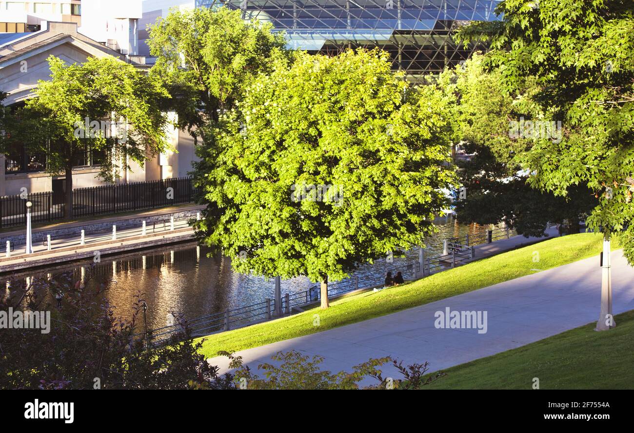 A green tree lit up by sunlight stands tall by a canal during summer in Ottawa, Ontario. Stock Photo
