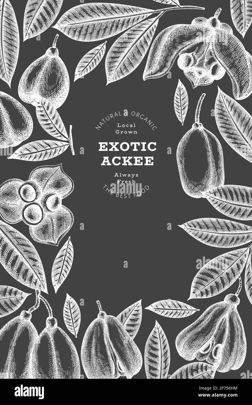 Hand drawn sketch style ackee banner. Organic fresh food vector ...