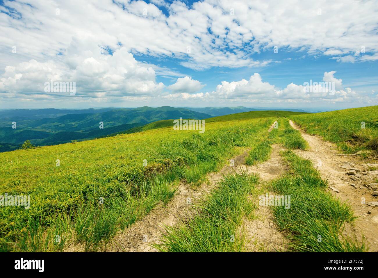 Distant Country country road through alpine meadow of carpathian mountain. beautiful ...