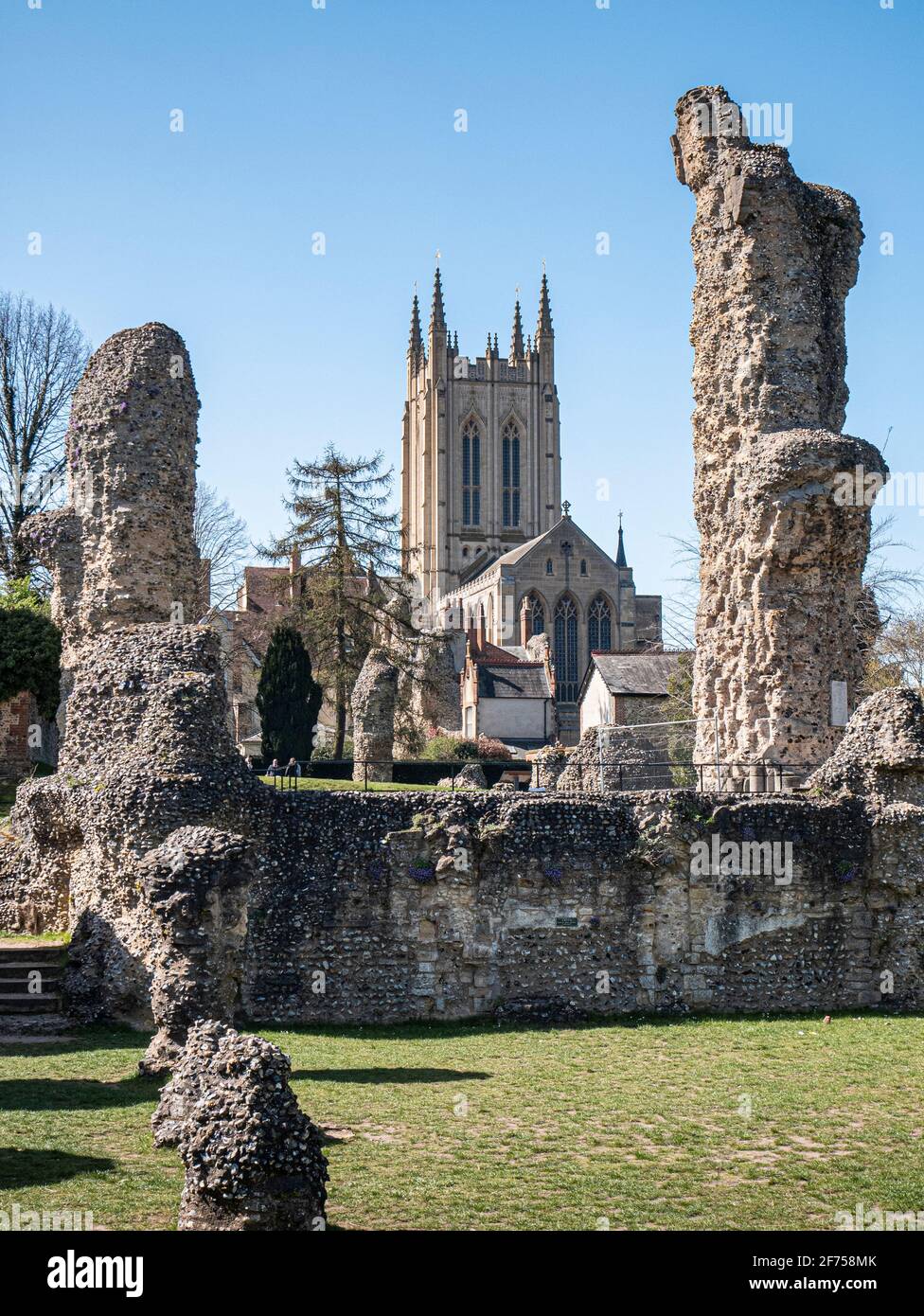 Bury St Edmunds Cathedral and Abbey Ruins Stock Photo