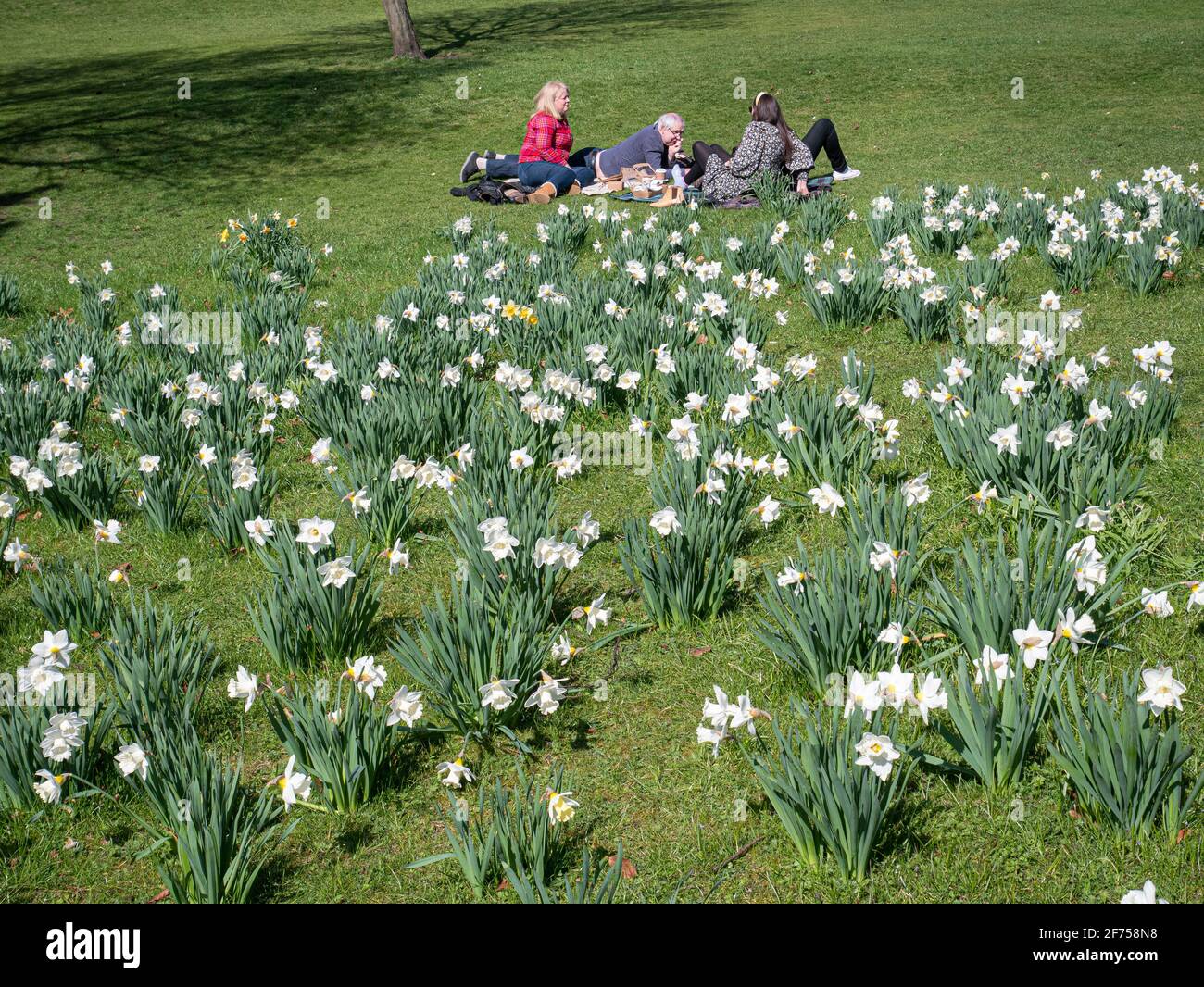 Familes enjoying spring sunshine in Abbey gardens Bury St Edmunds Stock Photo