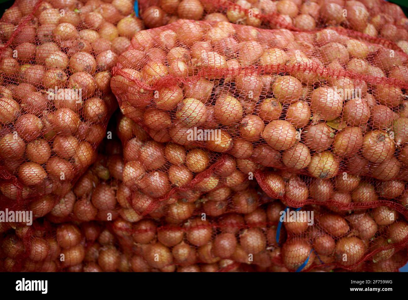 Onion warehouse hires stock photography and images Alamy