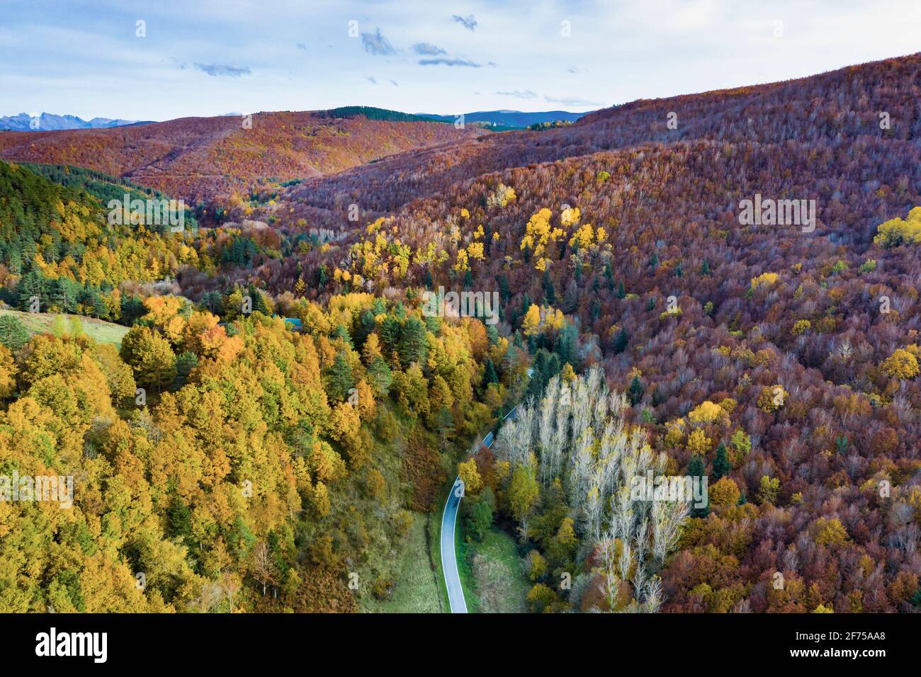 Aerial view of a decidual forest and road in autumn. Stock Photo