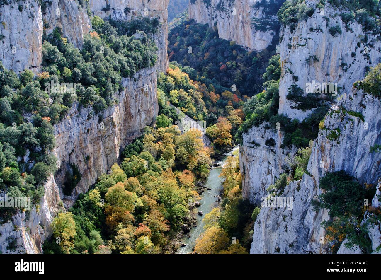 Gorge and river with decidual forest in autumn. Arbayun gorge. Navarre, Spain, Europe. Stock Photo