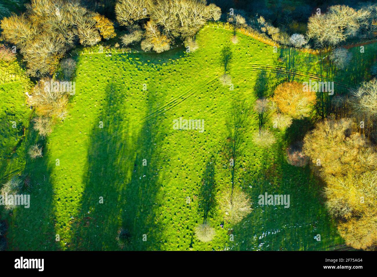 Aerial view of a green pasture in a mountain area. Stock Photo