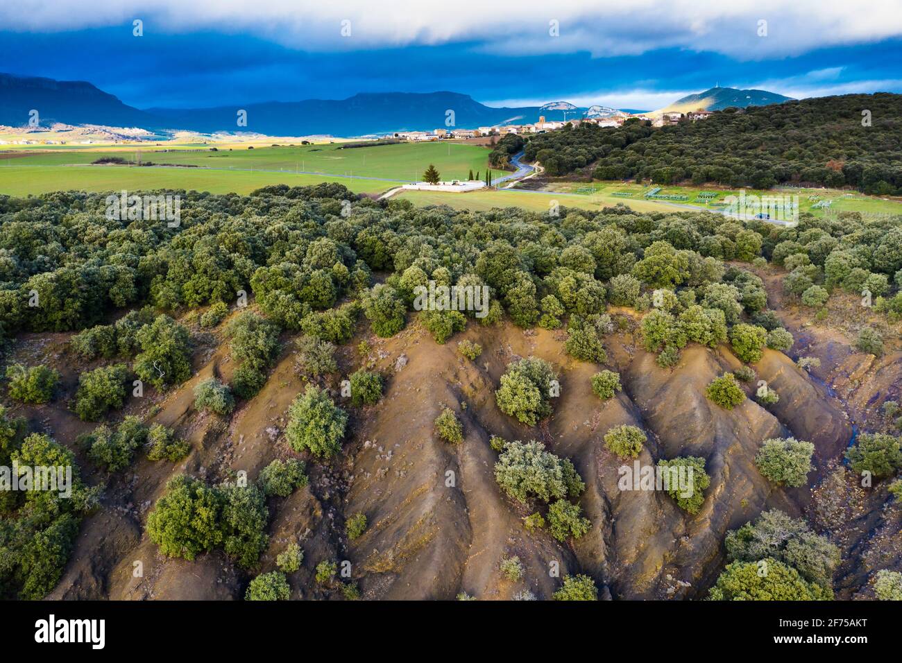 Aerial view of an holm oak grove and mountain range at background. Stock Photo