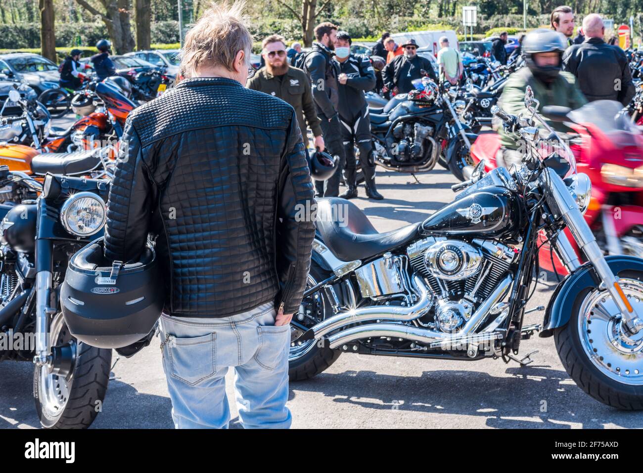A motorbike rider with helmet in hand admiring a parked Harley Davidson bike on a sunny day Stock Photo
