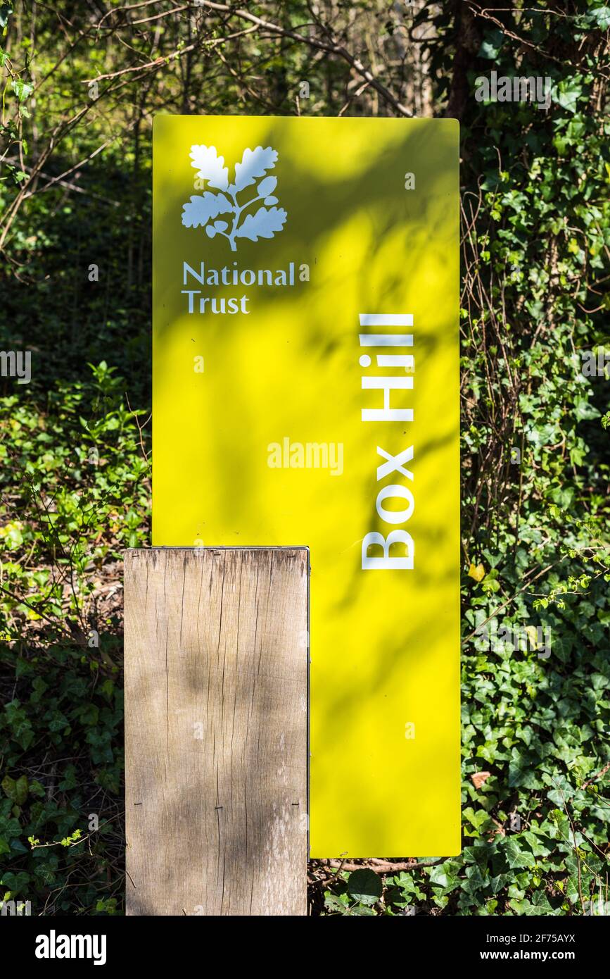 National Trust Box Hill Stock Photo Alamy