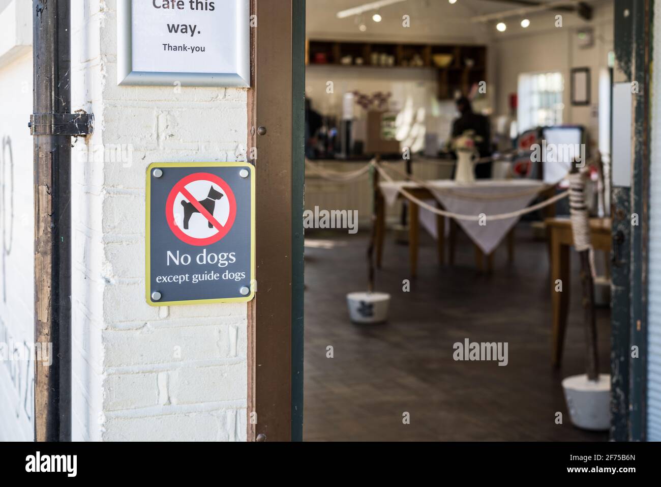 No dogs except guide dogs visual sign board at the entrance of cafe Stock Photo