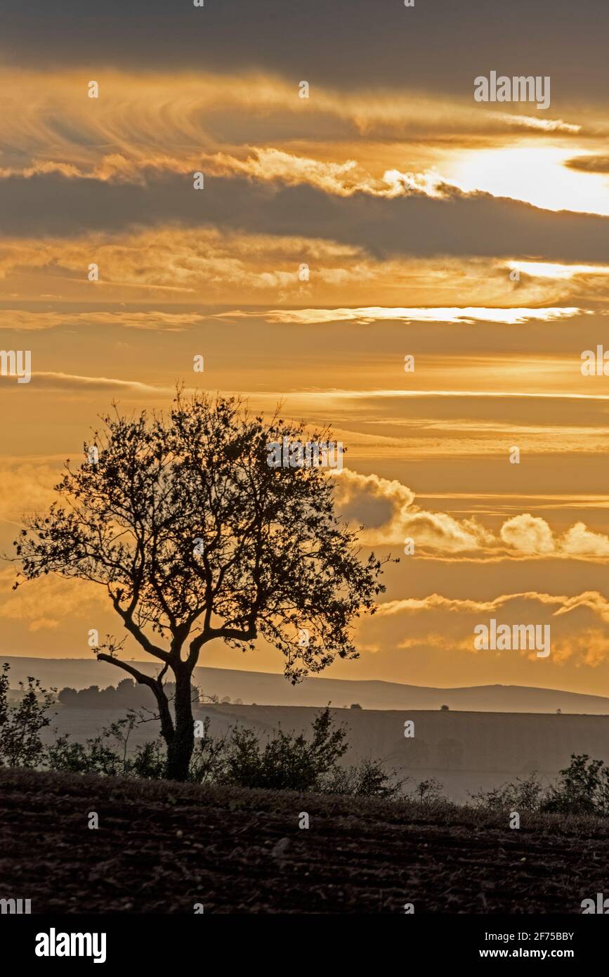 Late Autumn sunset over the Cotswolds, one of the thirty-four allocated Areas of Outstanding Natural Beauty (AONBs) in England and Wales. Stock Photo