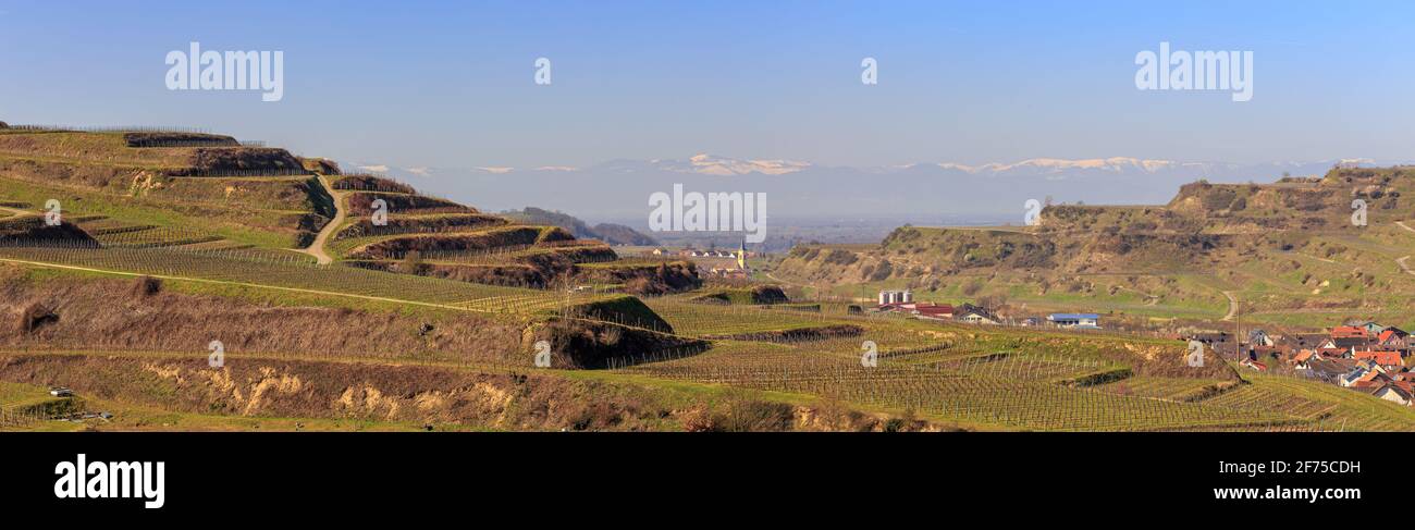 View over the Kaiserstuhl vineyards to the snow capped mountains of the Vosges Stock Photo