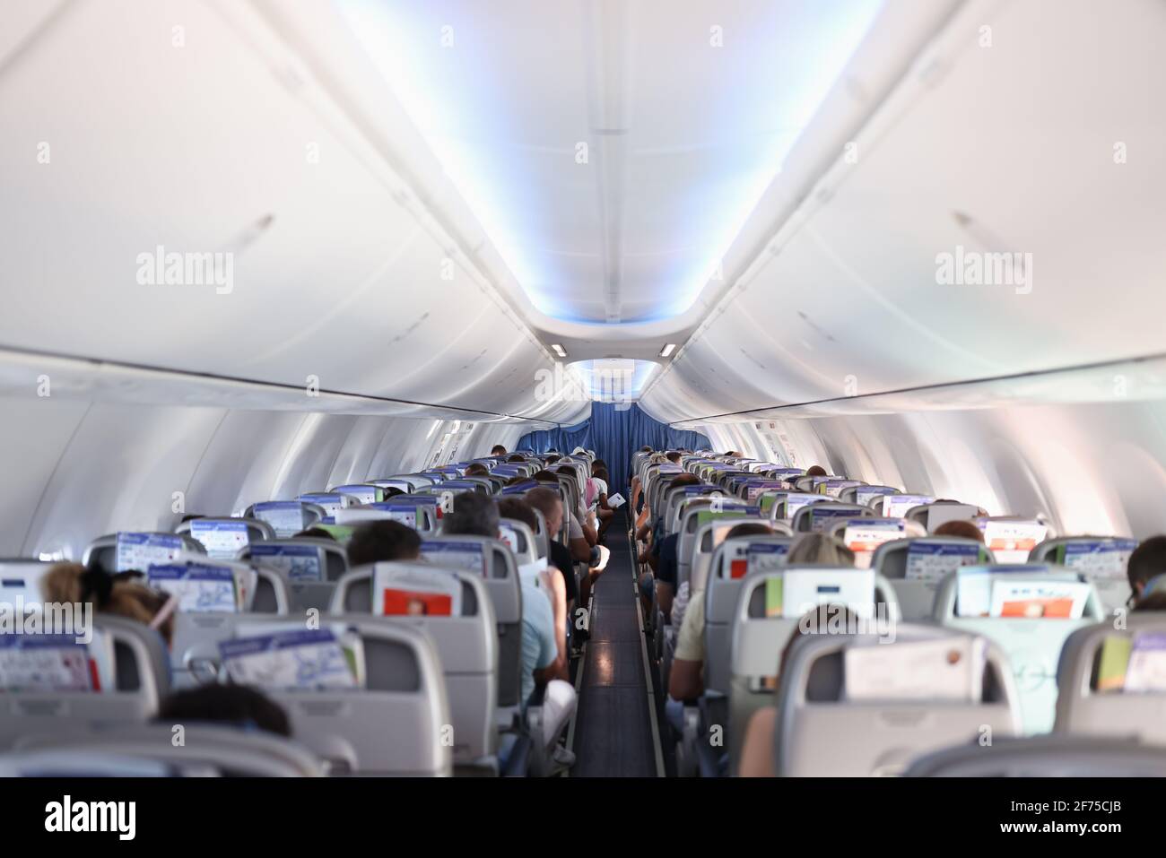 Passengers sitting in seats of plane back view Stock Photo Alamy